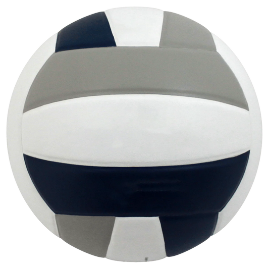 Perfection Leather Volleyball