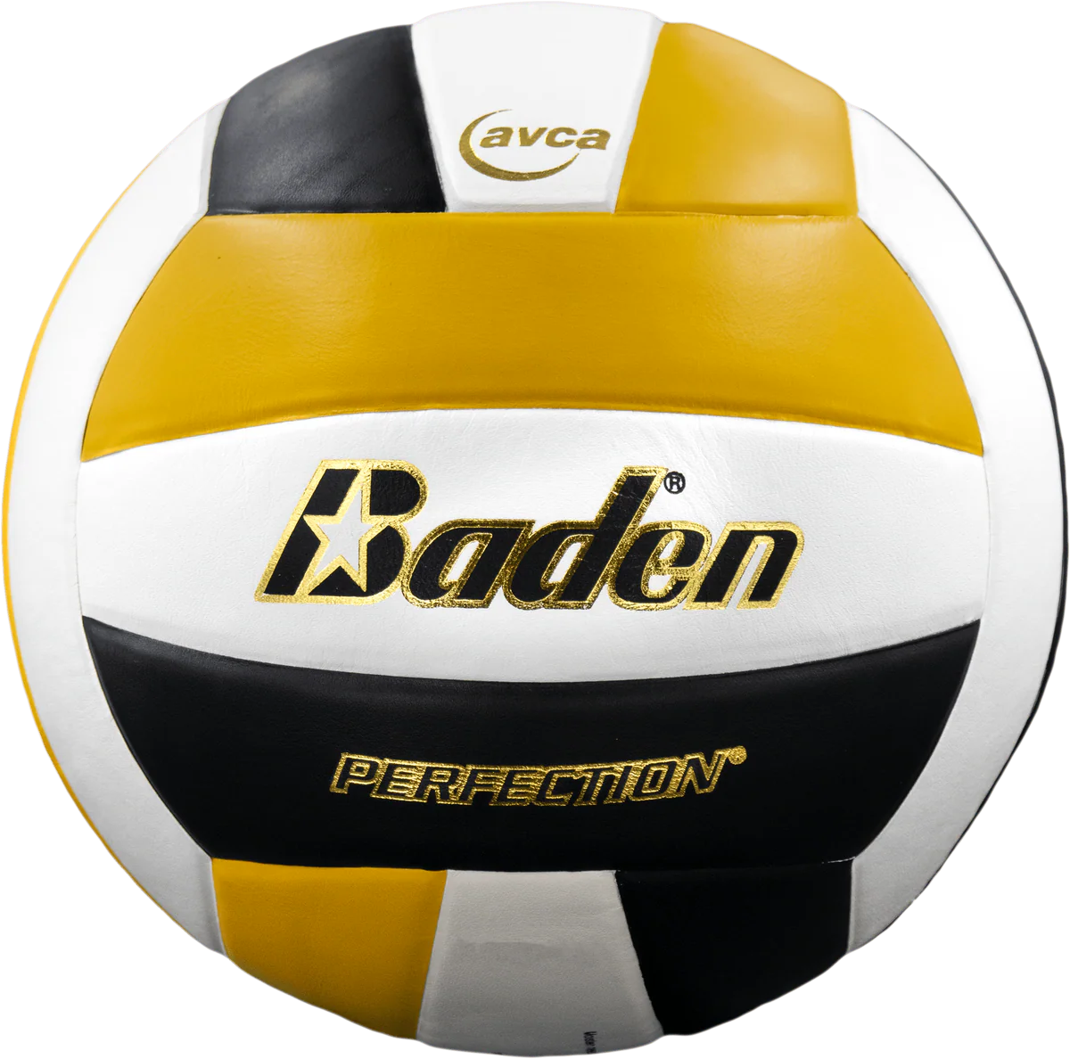 Perfection Leather Volleyball