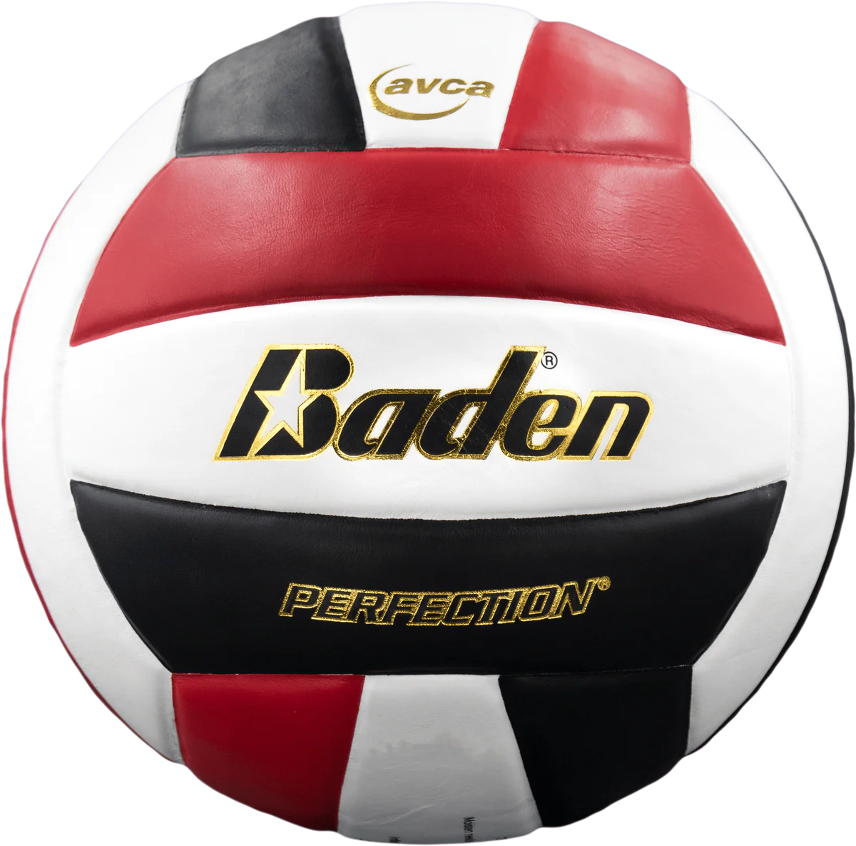Perfection Leather Volleyball